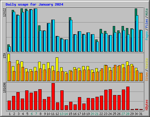 Daily usage for January 2024