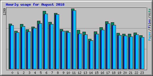 Hourly usage for August 2018