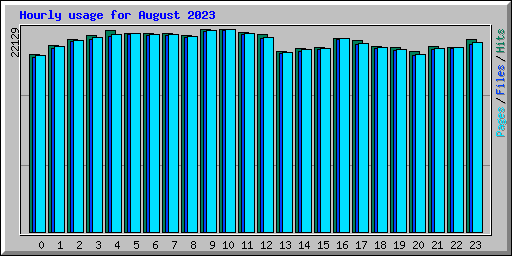 Hourly usage for August 2023