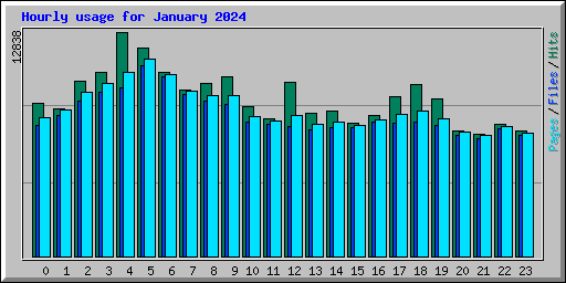 Hourly usage for January 2024