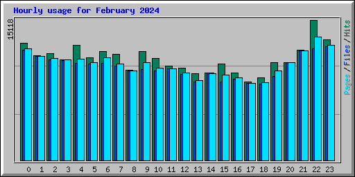 Hourly usage for February 2024